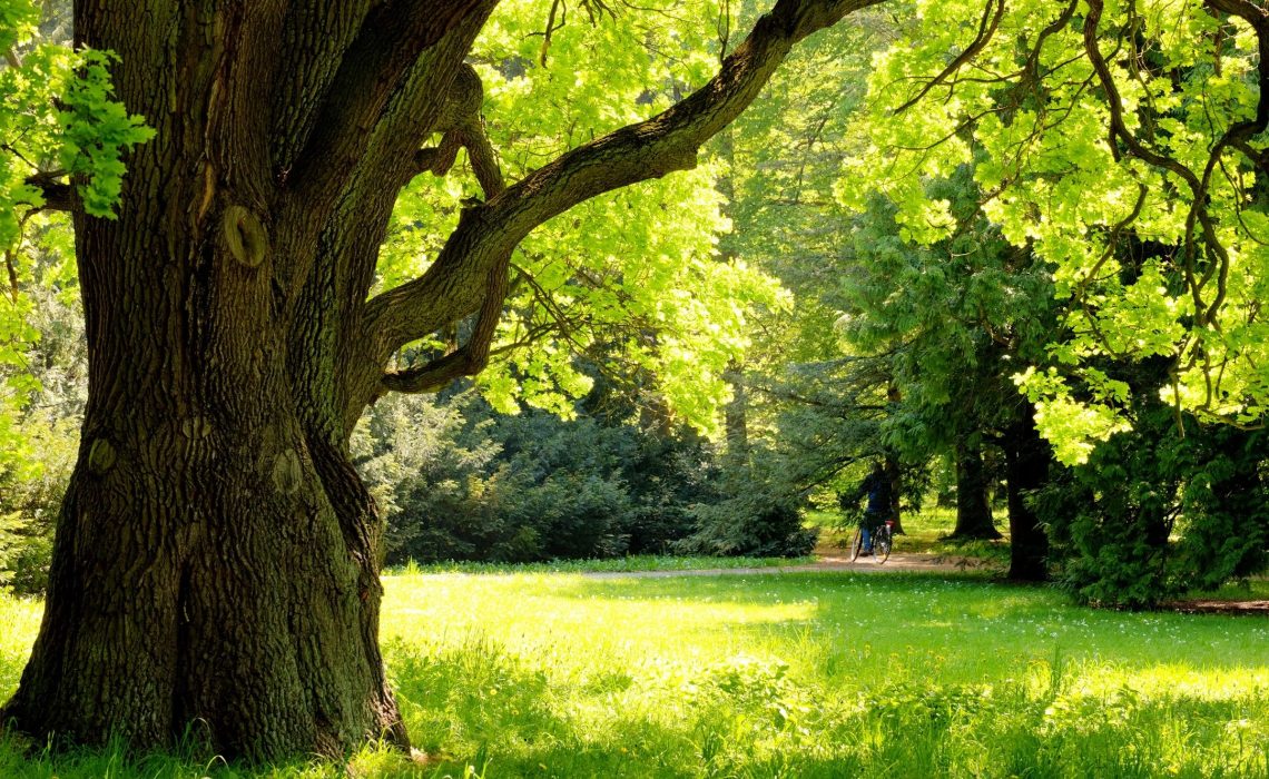 grounding and earthing